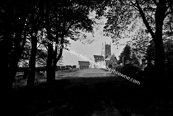 MT MELLARY  ABBEY  APPROACHING UNDER TREES